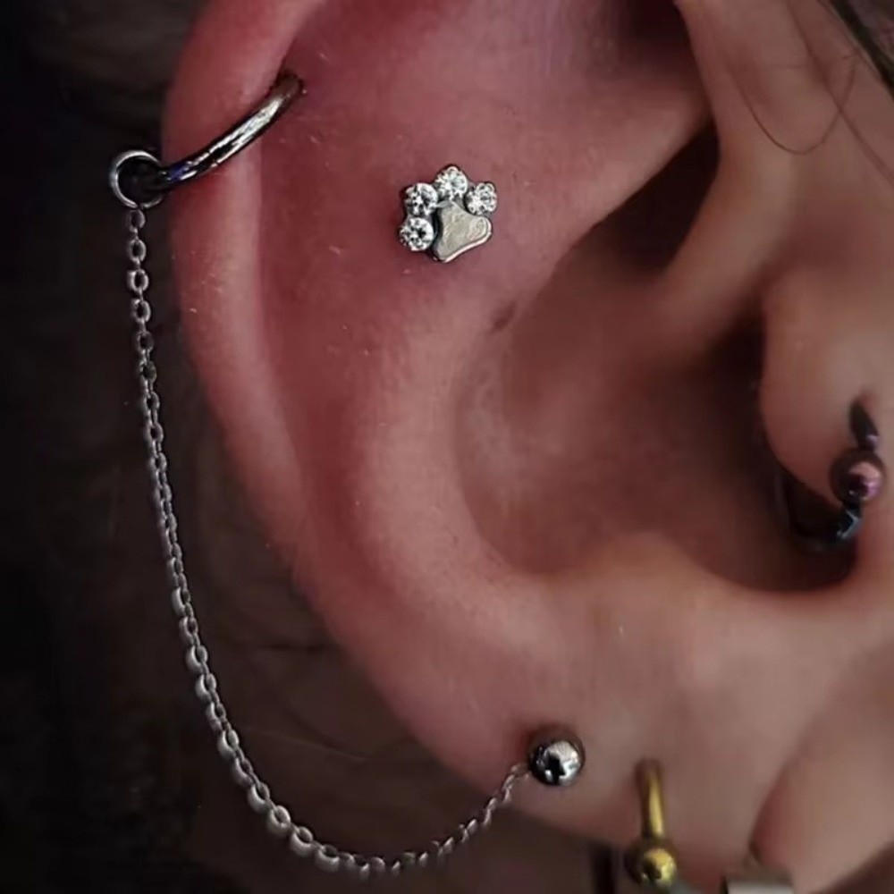 โซ่จมูกไทเทเนียม 3 ชั้น โซ่คู่ - Body Jewelry Titanium บทวิจารณ์และราคา