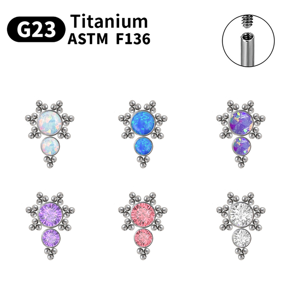 ต่างหูไทเทเนียม G23 แบบเจาะหูส - Body Jewelry Labret บทวิจารณ์และราคา