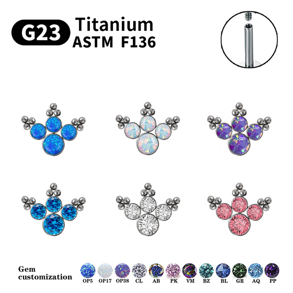 ต่างหูไทเทเนียม G23 แบบเจาะหูส - Body Jewelry Labret บทวิจารณ์และราคา